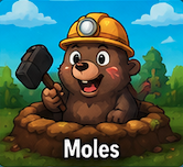 Moles preview